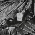 Pánsky korenisto-kvetinový parfum Oak