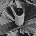 pánsky parfum Oak Berlin 100ml